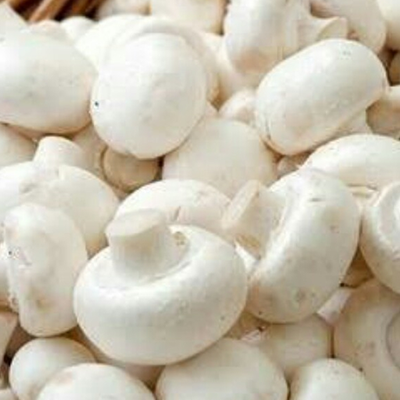 fresh-button-mushroom-indusmushrooms.com